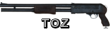 TOZ
